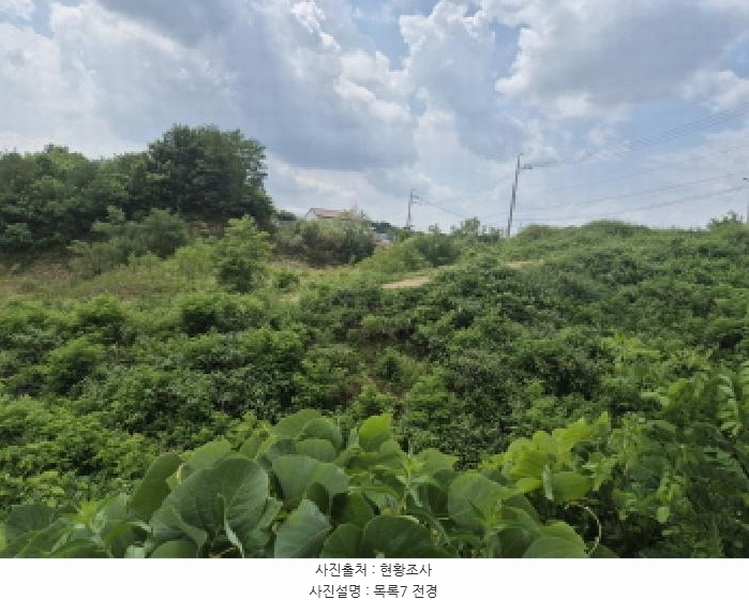2025타경3597 세종특별자치시 장군면 봉안리 216-7 임야 경매 이미지