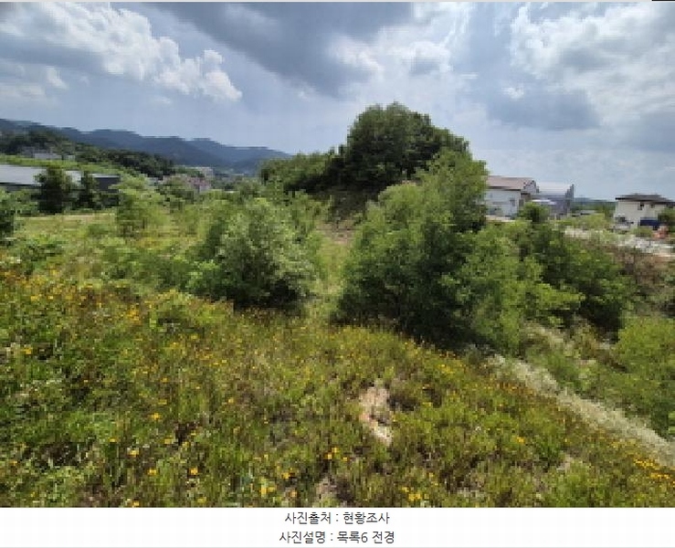 2025타경3597 세종특별자치시 장군면 봉안리 216-7 임야 경매 이미지