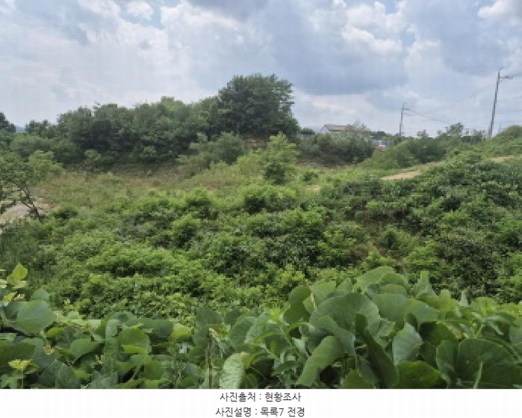 2025타경3597 세종특별자치시 장군면 봉안리 216-7 임야 경매 이미지