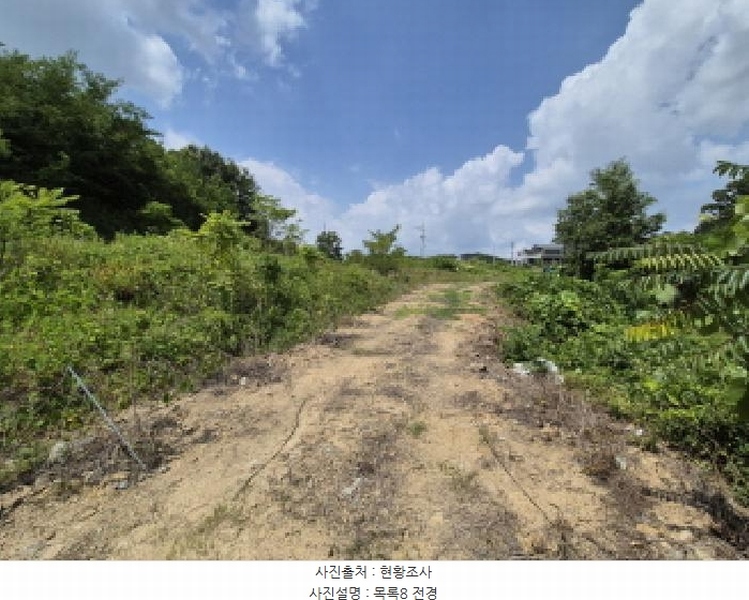 2025타경3597 세종특별자치시 장군면 봉안리 216-7 임야 경매 이미지