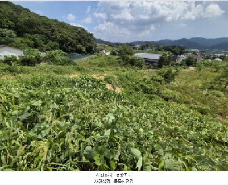 2025타경3597 세종특별자치시 장군면 봉안리 216-7 임야 경매 이미지