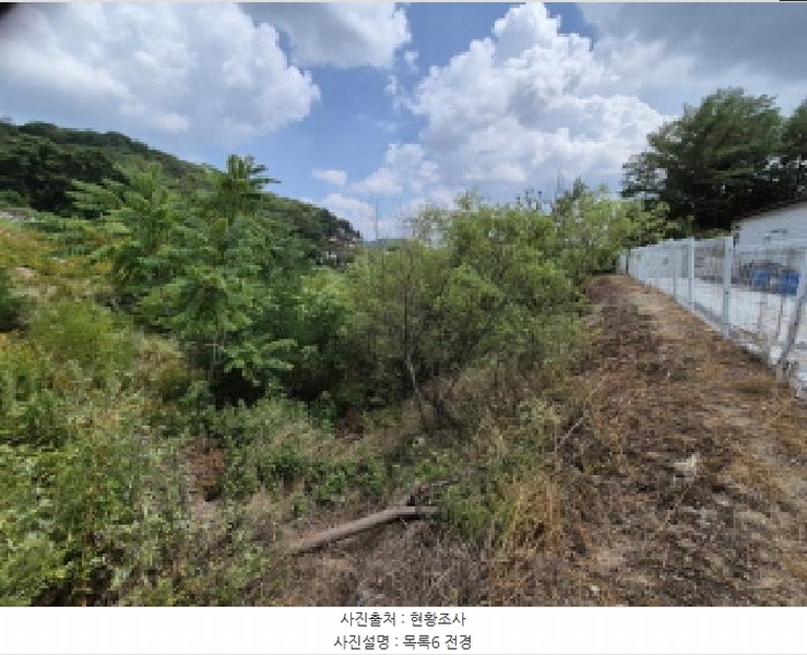 2025타경3597 세종특별자치시 장군면 봉안리 216-7 임야 경매 이미지