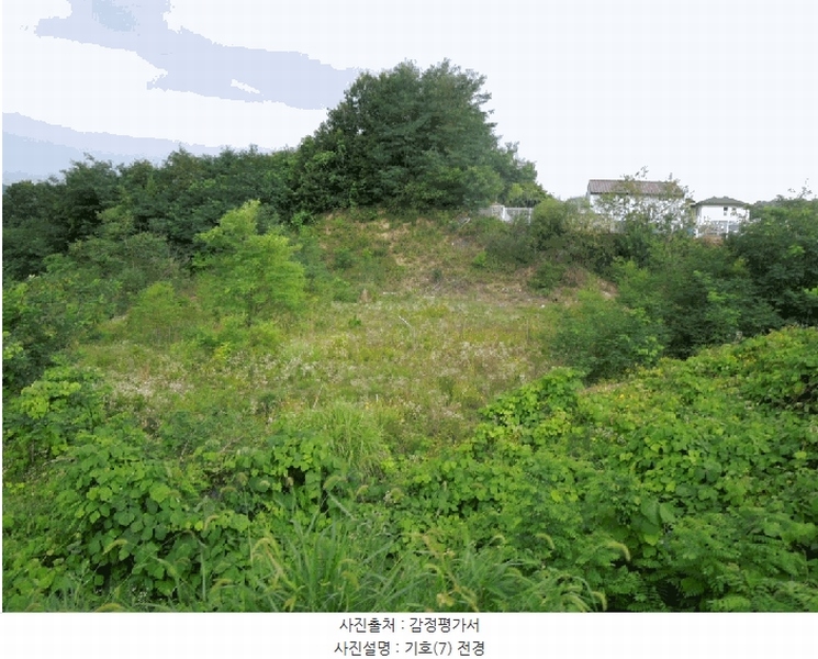 2025타경3597 세종특별자치시 장군면 봉안리 216-7 임야 경매 이미지
