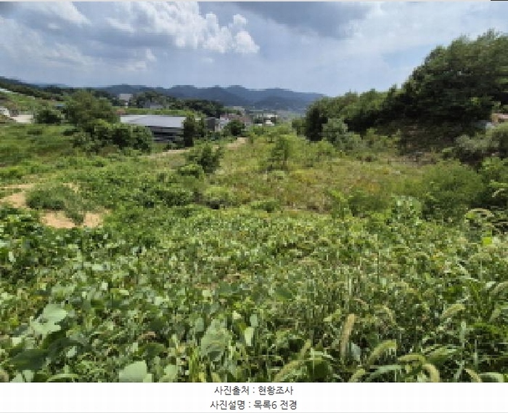 2025타경3597 세종특별자치시 장군면 봉안리 216-7 임야 경매 이미지