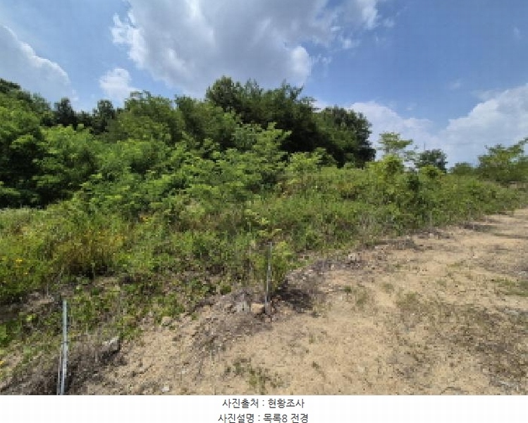 2025타경3597 세종특별자치시 장군면 봉안리 216-7 임야 경매 이미지