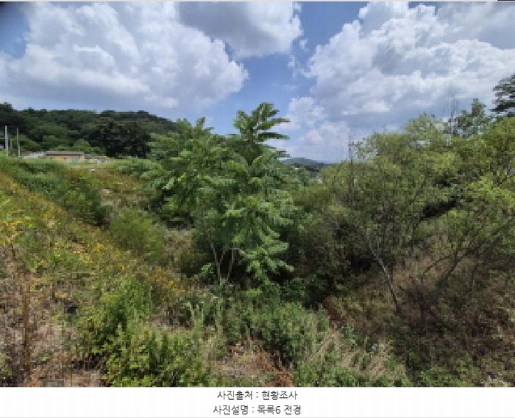 2025타경3597 세종특별자치시 장군면 봉안리 216-7 임야 경매 이미지