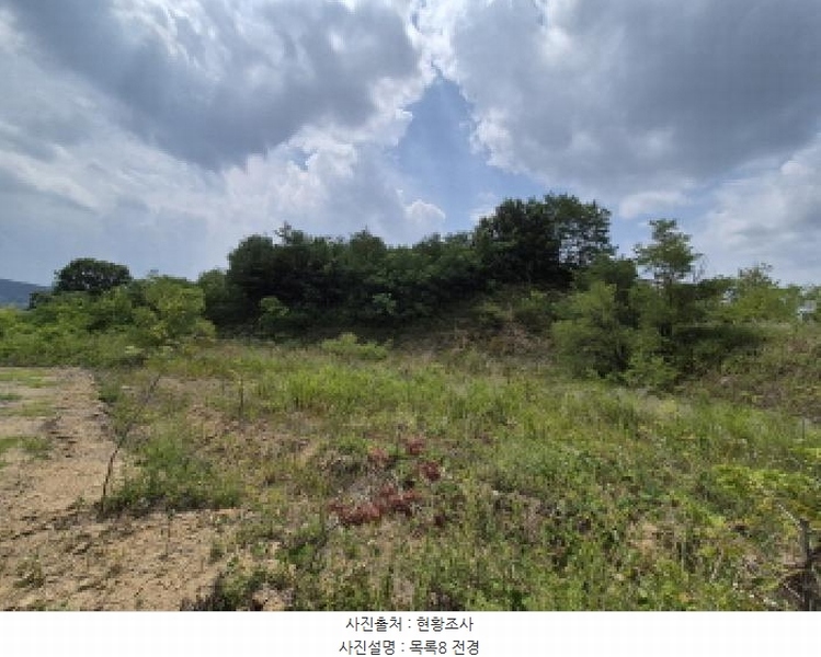 2025타경3597 세종특별자치시 장군면 봉안리 216-7 임야 경매 이미지