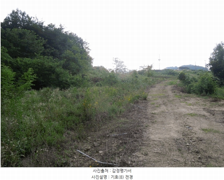 2025타경3597 세종특별자치시 장군면 봉안리 216-7 임야 경매 이미지