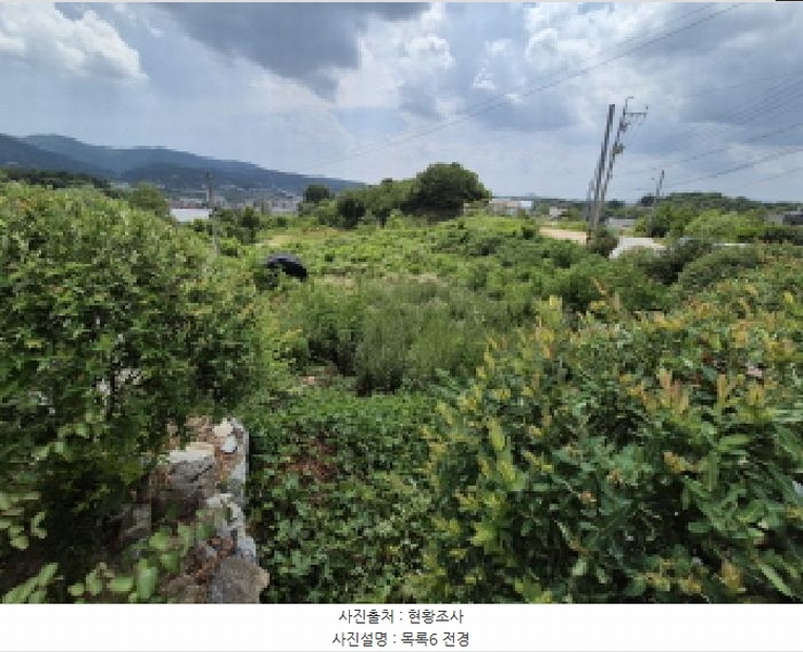 2025타경3597 세종특별자치시 장군면 봉안리 216-7 임야 경매 이미지