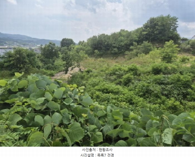 2025타경3597 세종특별자치시 장군면 봉안리 216-7 임야 경매 이미지