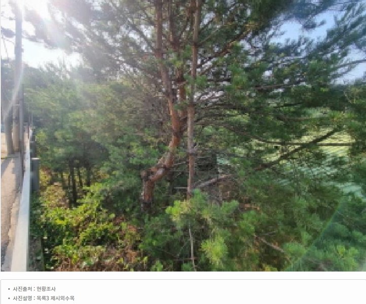 2025타경3608 세종특별자치시  부강면 문곡리 406-1 공장 경매 이미지