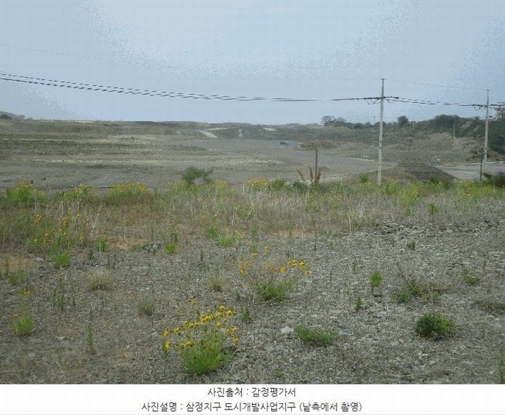 2025타경3681 경상북도 포항시 남구 구룡포읍 삼정리 409 농지 경매 이미지