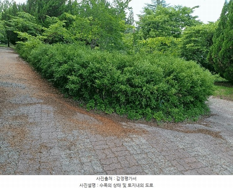 2025타경10557 경상북도 경주시 천군동 205-54 기타용지 경매 이미지