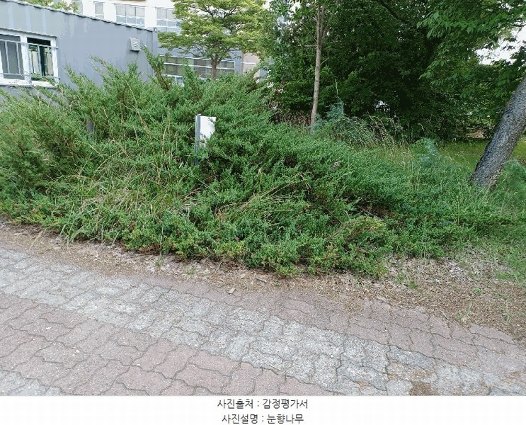 2025타경10557 경상북도 경주시 천군동 205-54 기타용지 경매 이미지