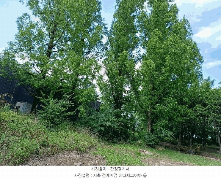 2025타경10557 경상북도 경주시 천군동 205-54 기타용지 경매 이미지