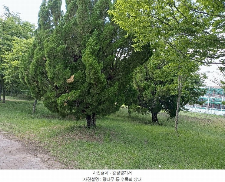 2025타경10557 경상북도 경주시 천군동 205-54 기타용지 경매 이미지