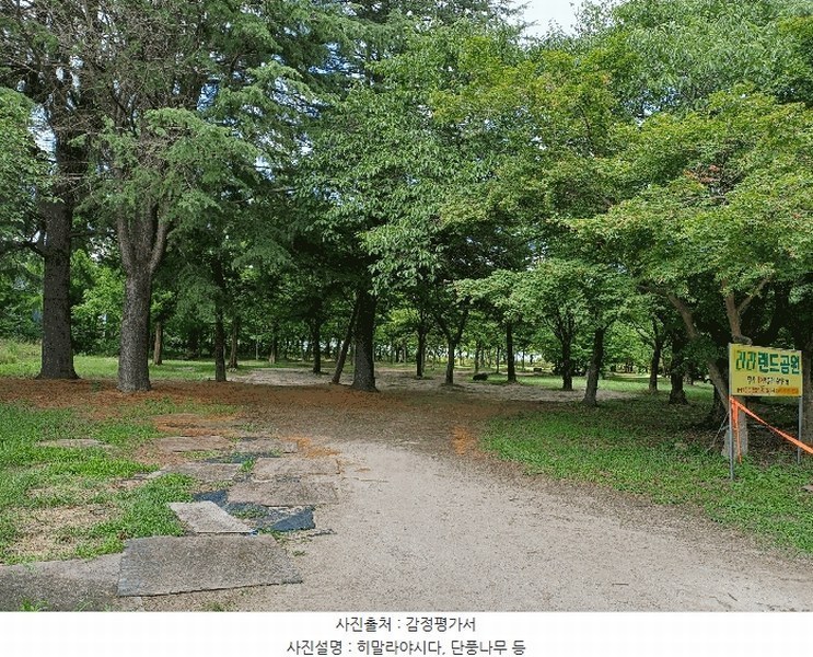 2025타경10557 경상북도 경주시 천군동 205-54 기타용지 경매 이미지