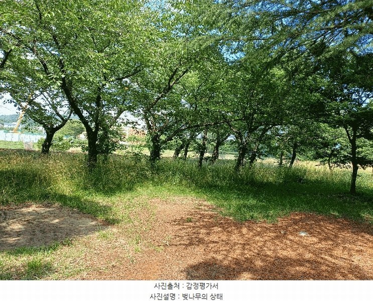 2025타경10557 경상북도 경주시 천군동 205-54 기타용지 경매 이미지