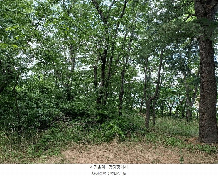 2025타경10557 경상북도 경주시 천군동 205-54 기타용지 경매 이미지