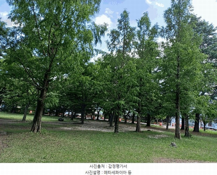 2025타경10557 경상북도 경주시 천군동 205-54 기타용지 경매 이미지