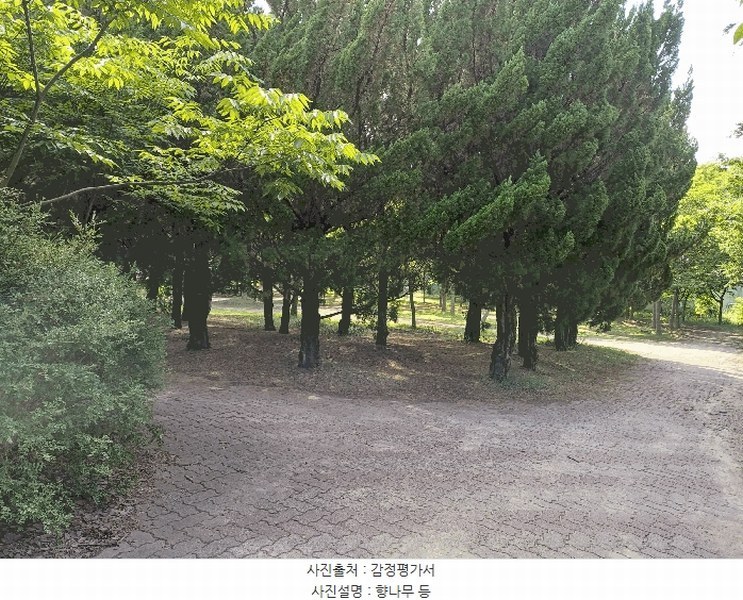 2025타경10557 경상북도 경주시 천군동 205-54 기타용지 경매 이미지