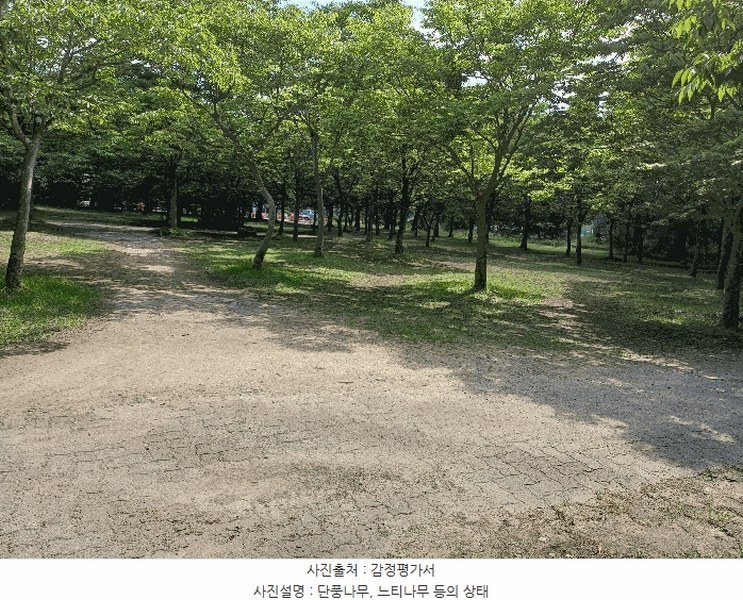 2025타경10557 경상북도 경주시 천군동 205-54 기타용지 경매 이미지