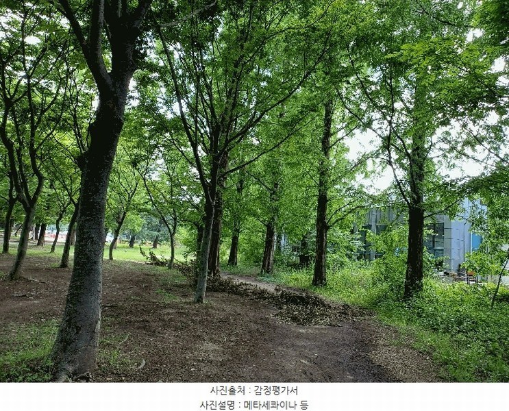 2025타경10557 경상북도 경주시 천군동 205-54 기타용지 경매 이미지