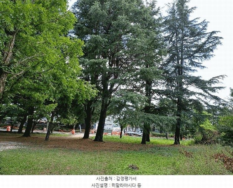 2025타경10557 경상북도 경주시 천군동 205-54 기타용지 경매 이미지