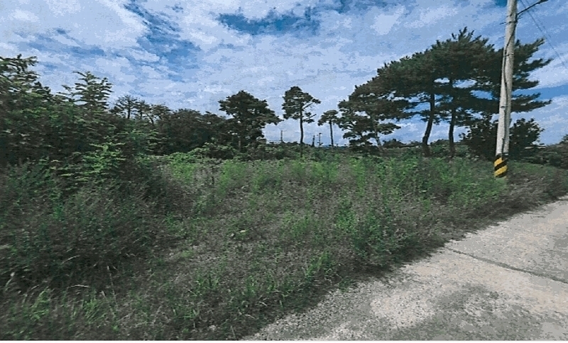 2025타경3866 경상북도 포항시 남구 오천읍 세계리 698-4 과수원 경매 이미지