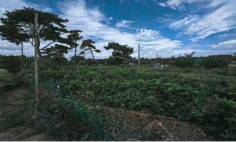 2025타경3866 경상북도 포항시 남구 오천읍 세계리 698-4 과수원 경매 이미지