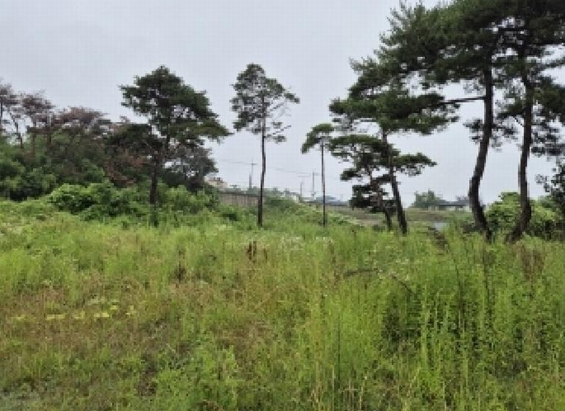 2025타경3866 경상북도 포항시 남구 오천읍 세계리 698-4 과수원 경매 이미지