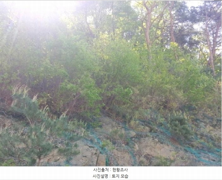 2025타경502259 충청남도 금산군 복수면 신대리 68-23 임야 경매 이미지