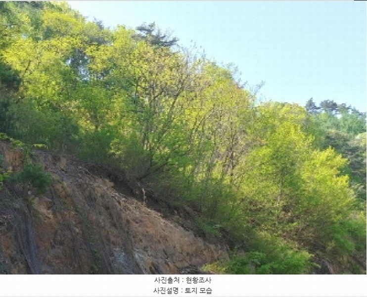 2025타경502259 충청남도 금산군 복수면 신대리 68-23 임야 경매 이미지