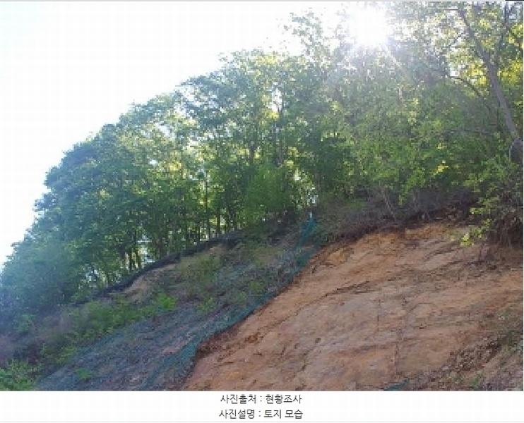2025타경502259 충청남도 금산군 복수면 신대리 68-23 임야 경매 이미지