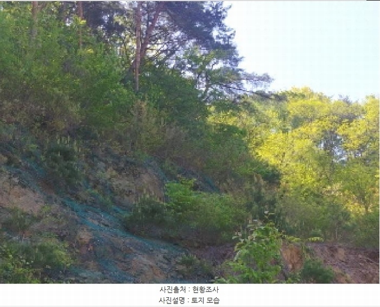 2025타경502259 충청남도 금산군 복수면 신대리 68-23 임야 경매 이미지