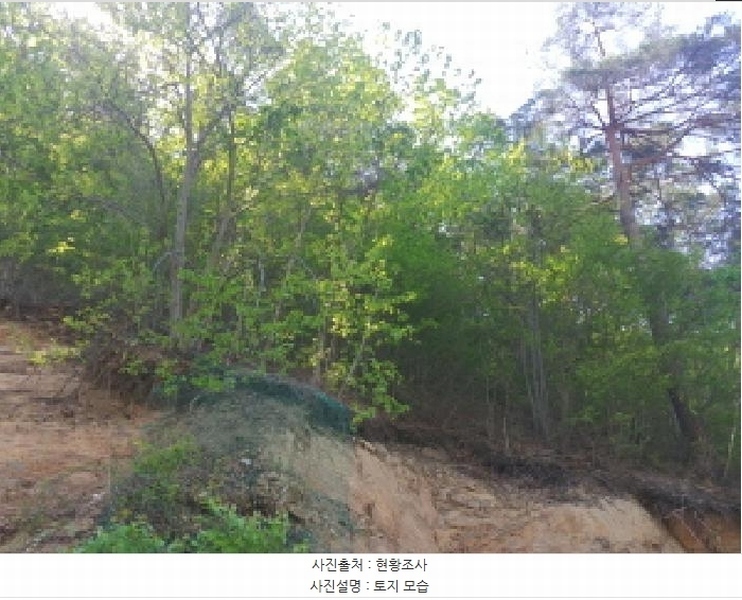 2025타경502259 충청남도 금산군 복수면 신대리 68-23 임야 경매 이미지