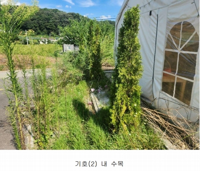 2025타경502725 세종특별자치시 연서면 쌍류리 98 근린시설 경매 이미지
