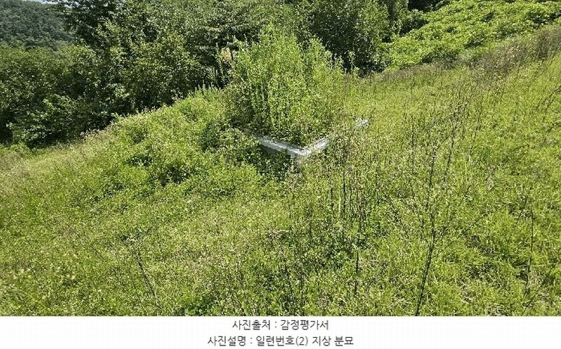 2025타경503154 충청남도 금산군 금성면 상가리 406-15 농지 경매 이미지