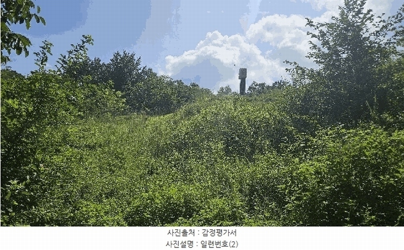2025타경503154 충청남도 금산군 금성면 상가리 406-15 농지 경매 이미지