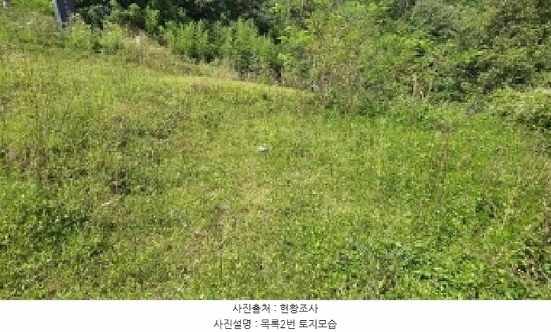 2025타경503154 충청남도 금산군 금성면 상가리 406-15 농지 경매 이미지