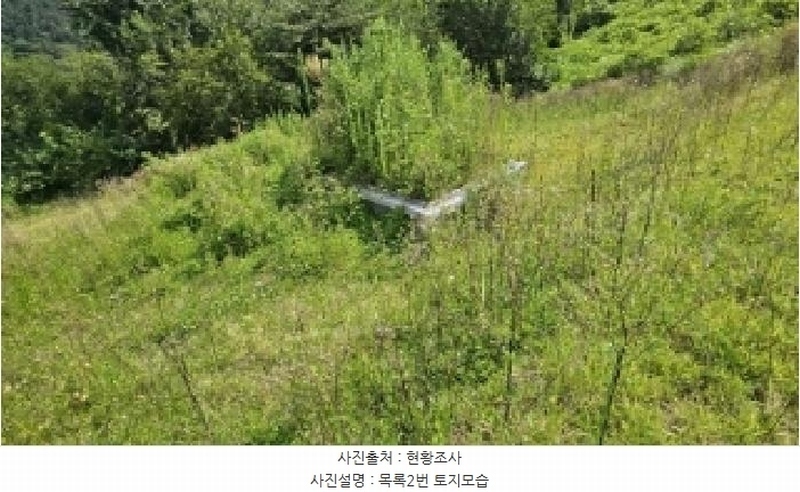 2025타경503154 충청남도 금산군 금성면 상가리 406-15 농지 경매 이미지