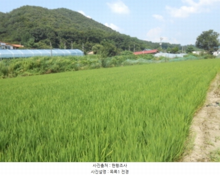 2024타경8195 세종특별자치시 전동면 보덕리 278 농지 경매 이미지