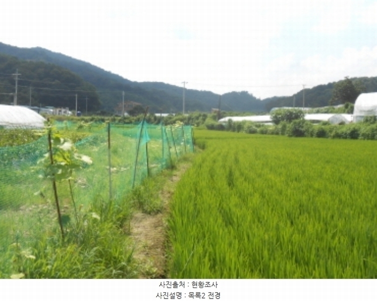 2024타경8195 세종특별자치시 전동면 보덕리 278 농지 경매 이미지