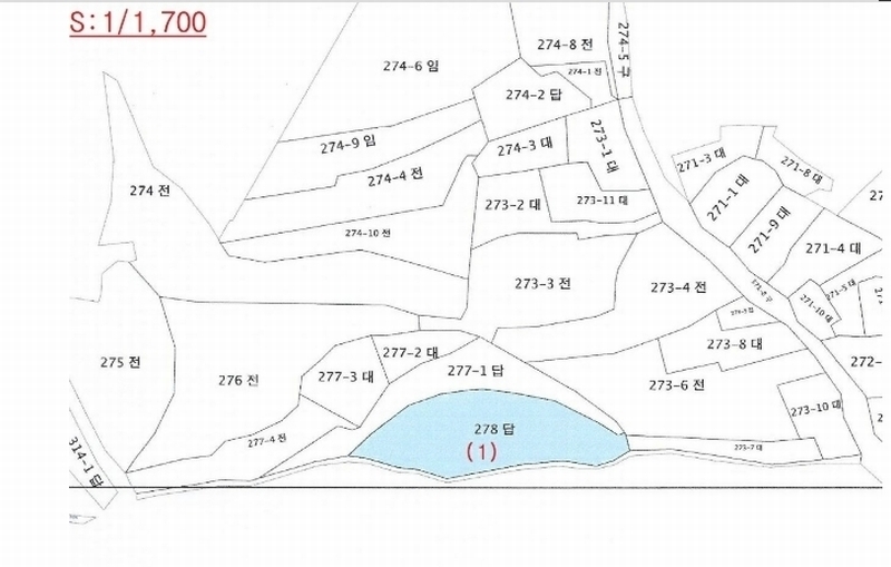 2024타경8195 세종특별자치시 전동면 보덕리 278 농지 경매 이미지