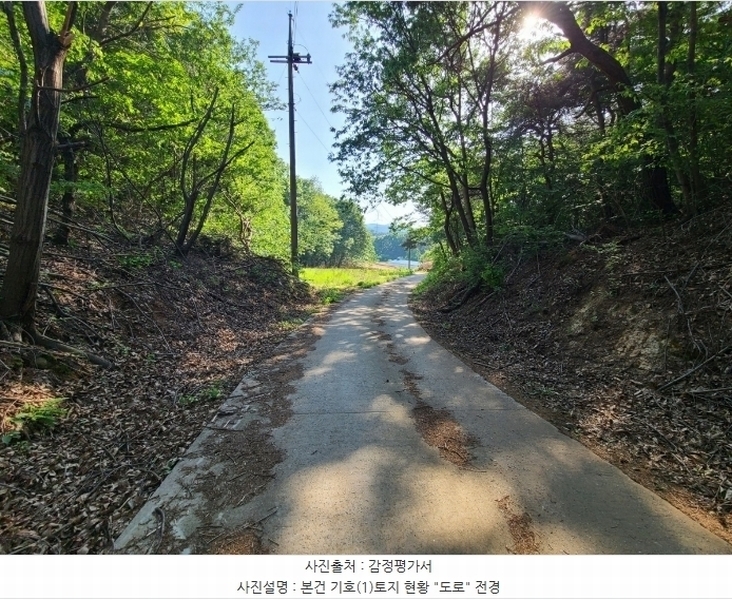2024타경108934 세종특별자치시 연서면 신대리 307-5 임야 경매 이미지
