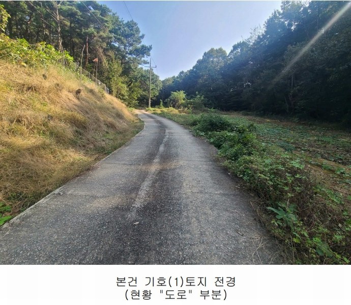 2024타경108934 세종특별자치시 연서면 신대리 307-5 임야 경매 이미지