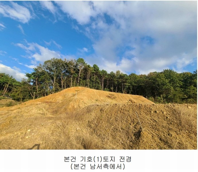 2024타경108934 세종특별자치시 연서면 신대리 307-5 임야 경매 이미지