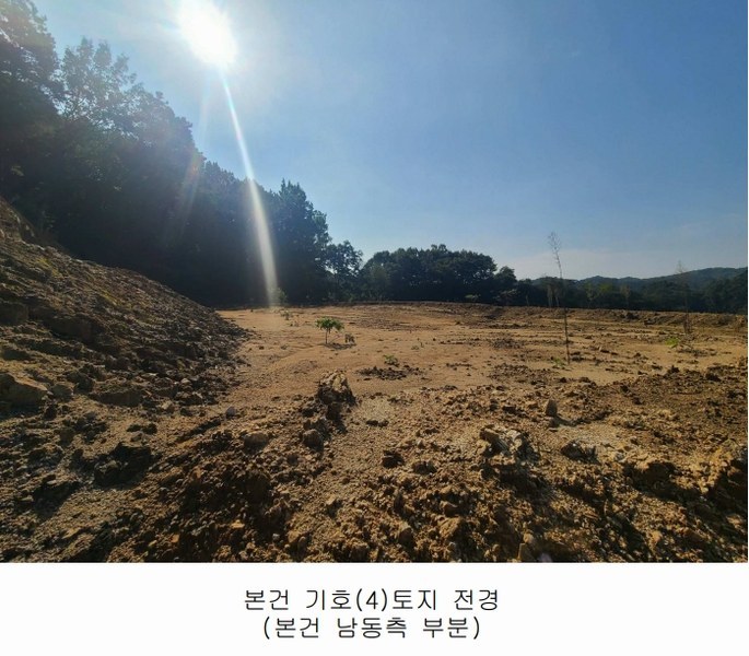 2024타경108934 세종특별자치시 연서면 신대리 307-5 임야 경매 이미지
