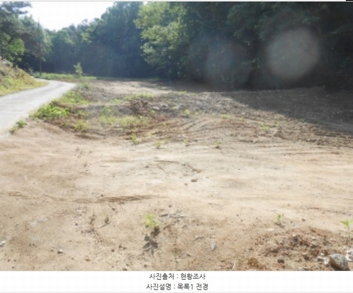 2024타경108934 세종특별자치시 연서면 신대리 307-5 임야 경매 이미지