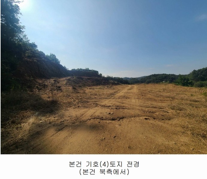 2024타경108934 세종특별자치시 연서면 신대리 307-5 임야 경매 이미지